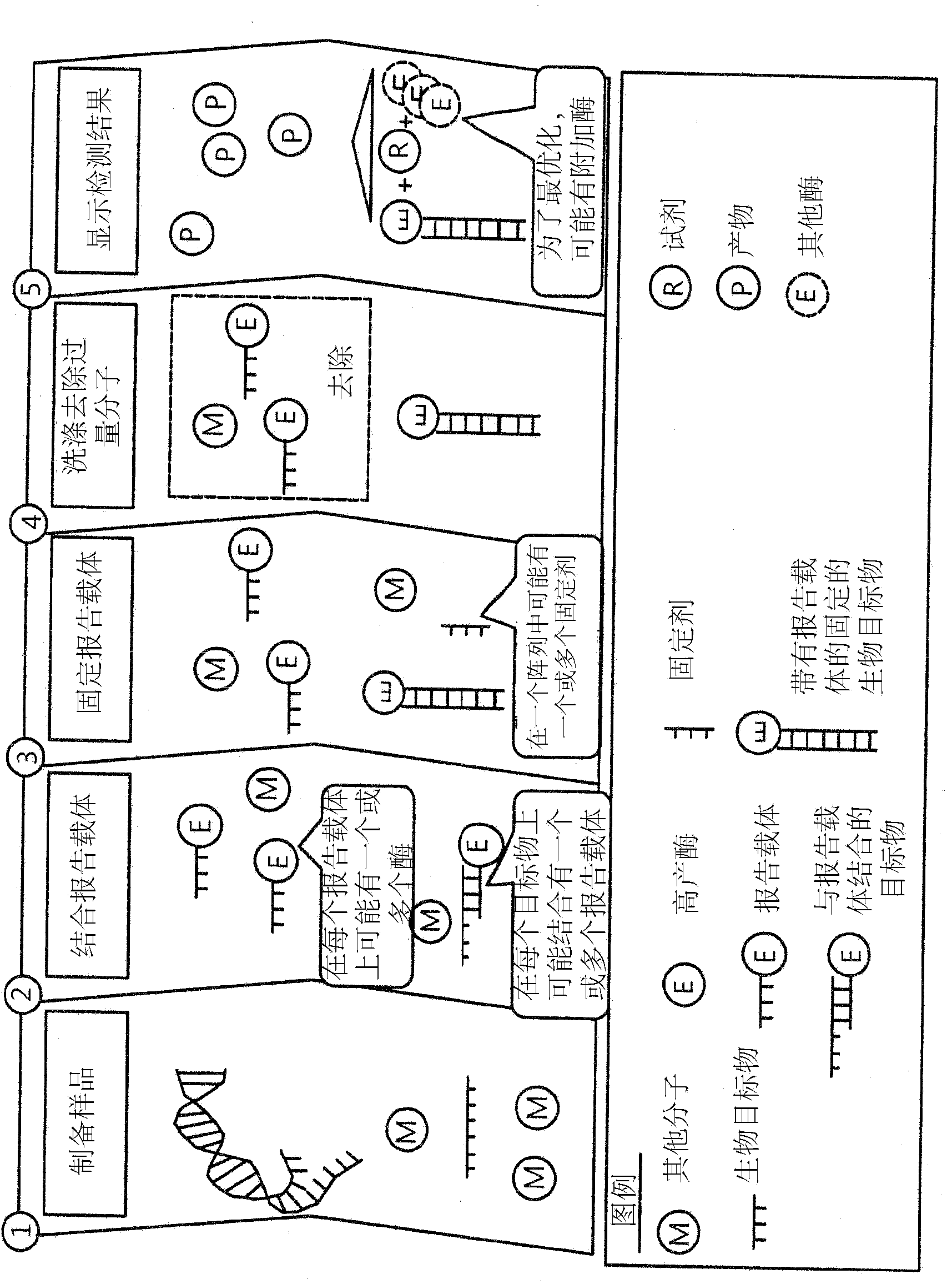 Molecular diagnostic assay device and method of use