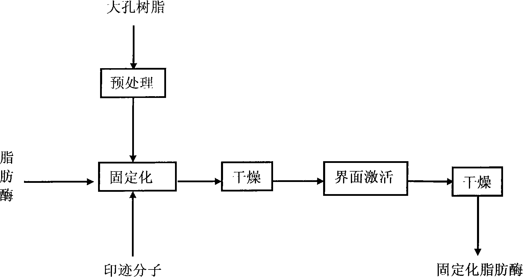 Preparation of immobilized lipase