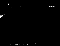 Corynebacterium pekinense microbe adsorption agent and preparation method thereof