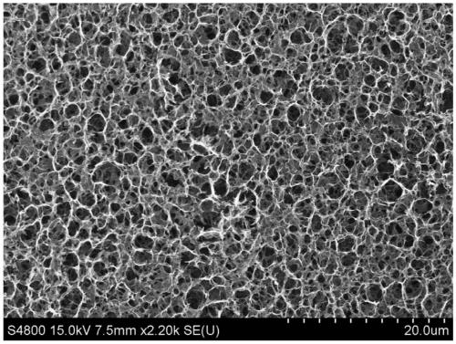 A kind of ultra-light ultra-amphiphilic three-dimensional graphene foam material and its preparation method and application