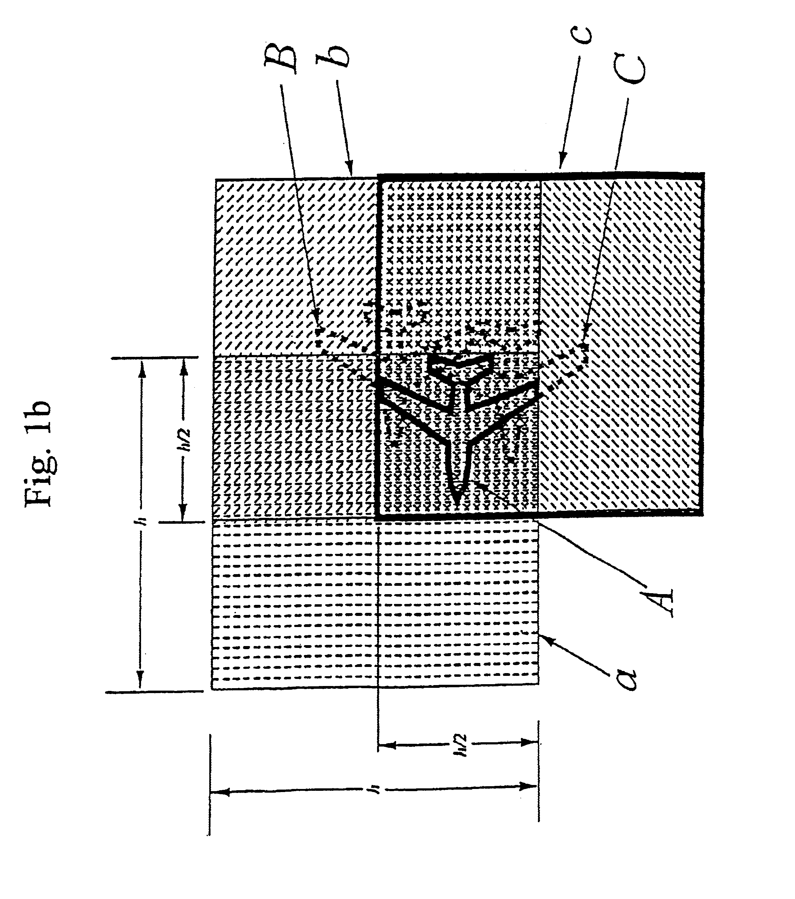 System for determining position and velocity of targets from signals scattered by the targets