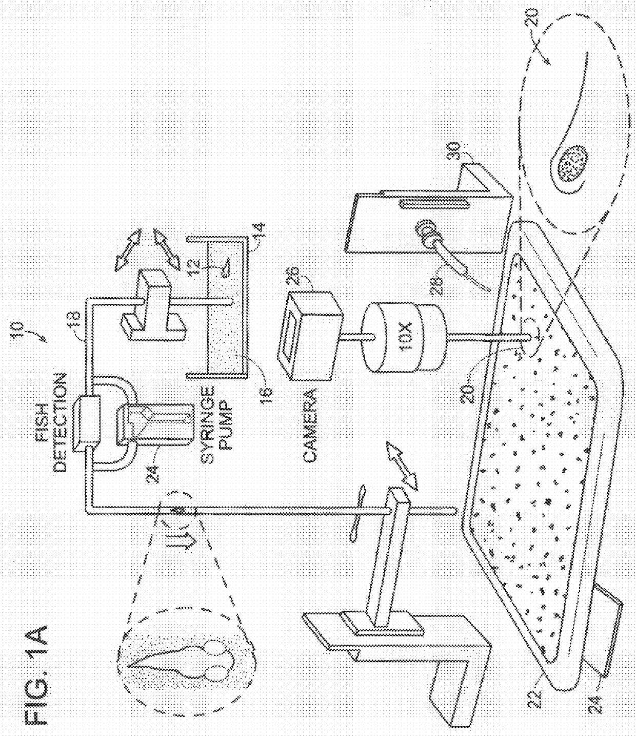 High-Throughput Organ-Targeted Microinjection System