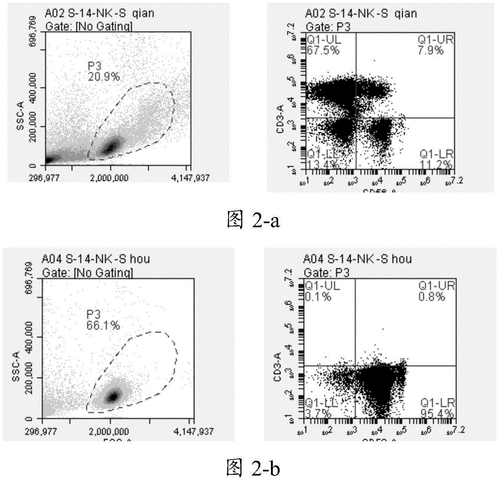 Natural killer cell culture medium and natural killer cell amplification culture method