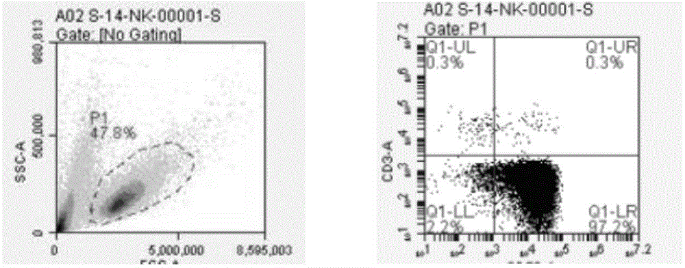 Natural killer cell culture medium and natural killer cell amplification culture method