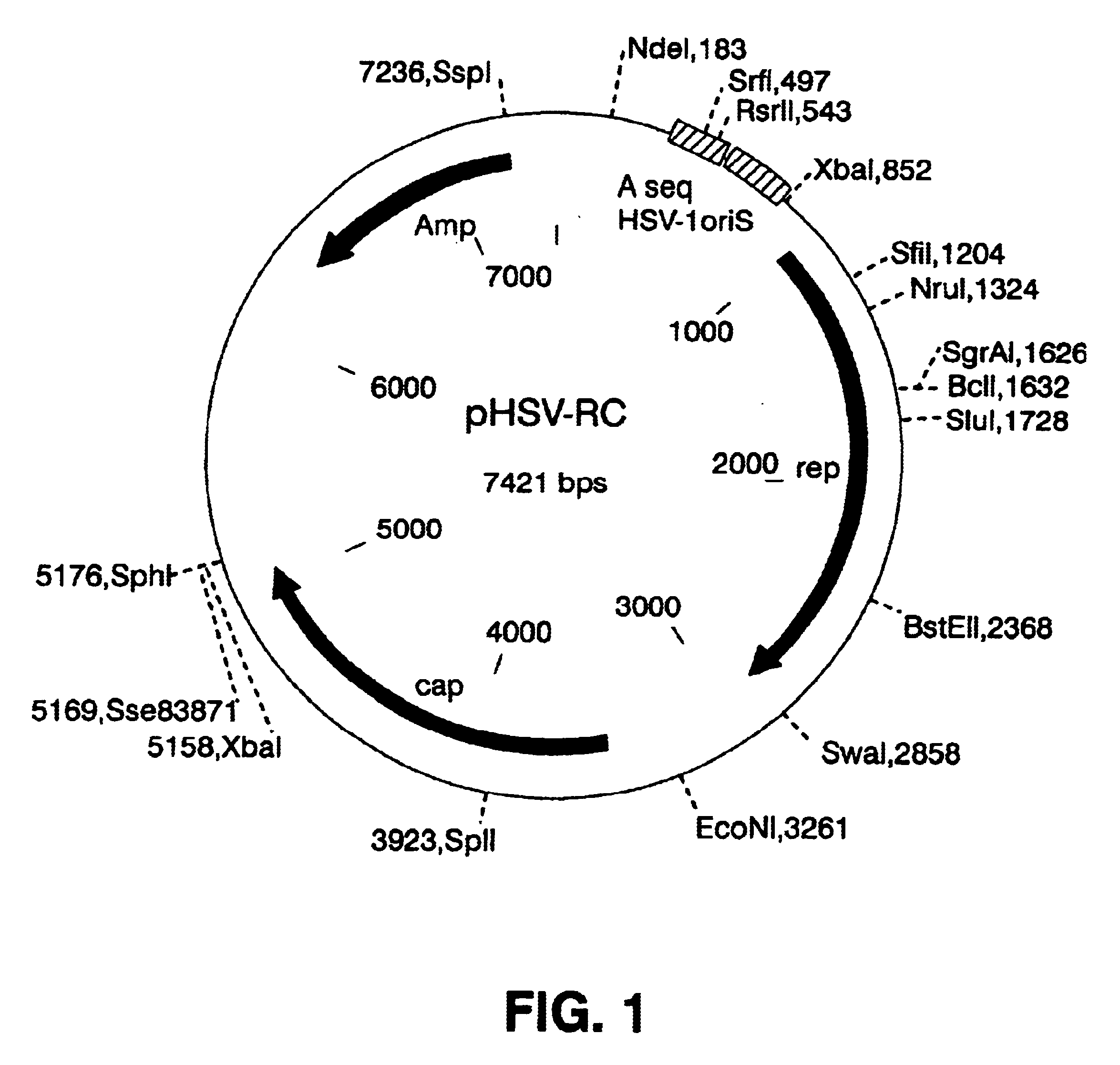 Methods for large-scale production of recombinant AAV vectors