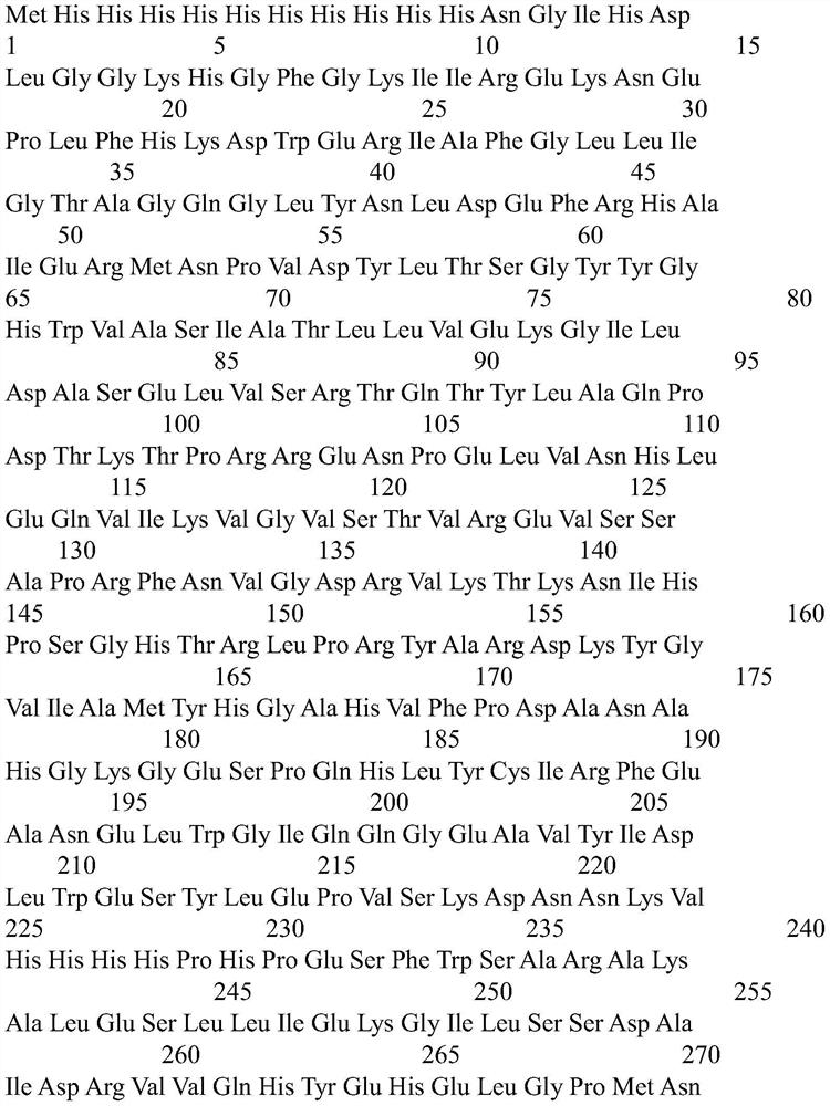 Nitrile hydratase lysine mutant HBA-K2H1, coding gene and application