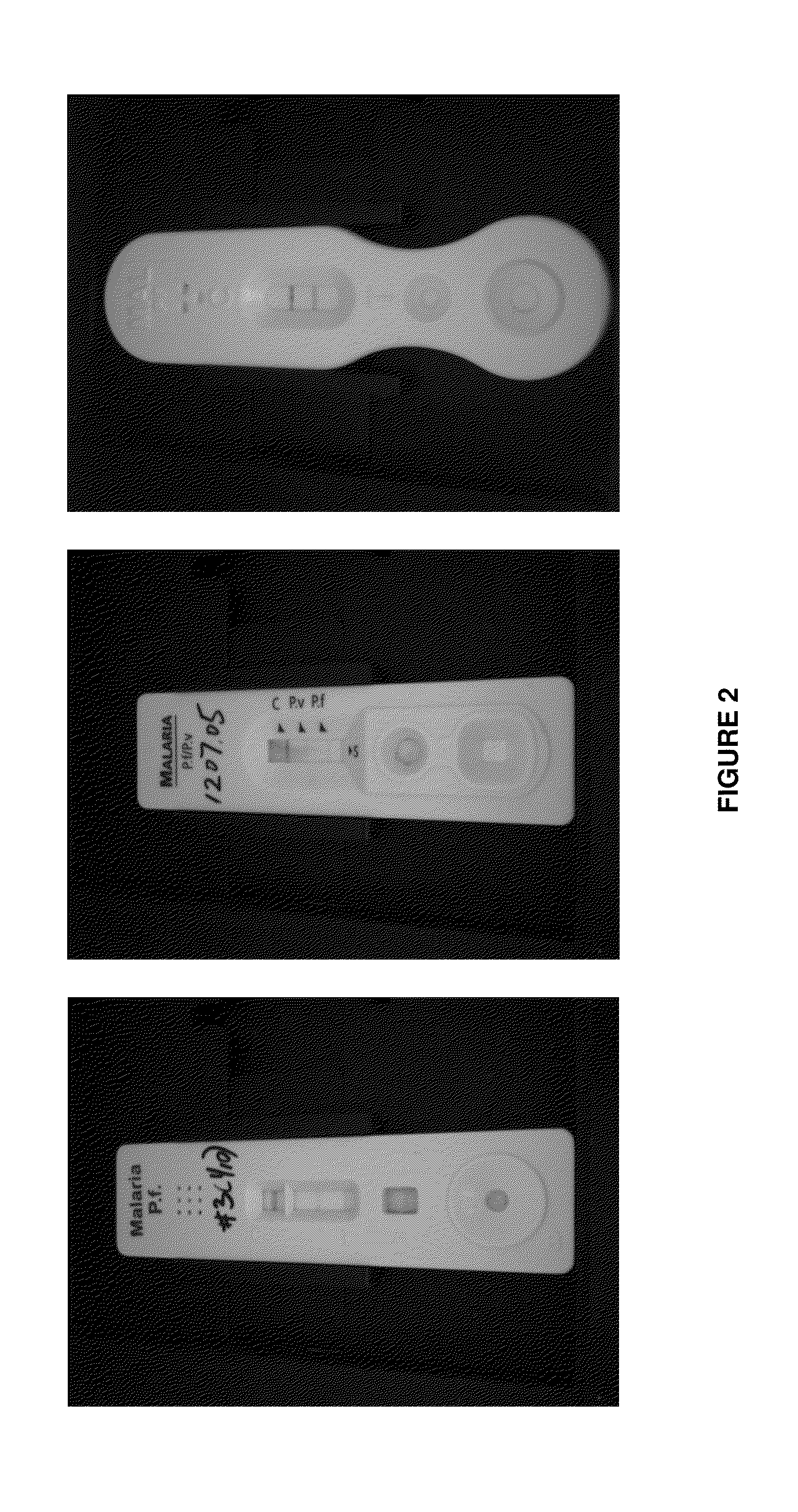 Immunoassay rapid diagnostic test universal analysis device, system, method and computer readable medium