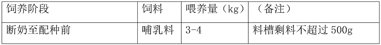 Bio-fermented feed capable of improving reproductive performance of sows as well as preparation method and application of bio-fermented feed