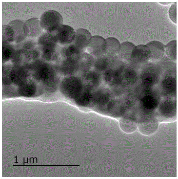 Preparation method of SnO2/C fiber