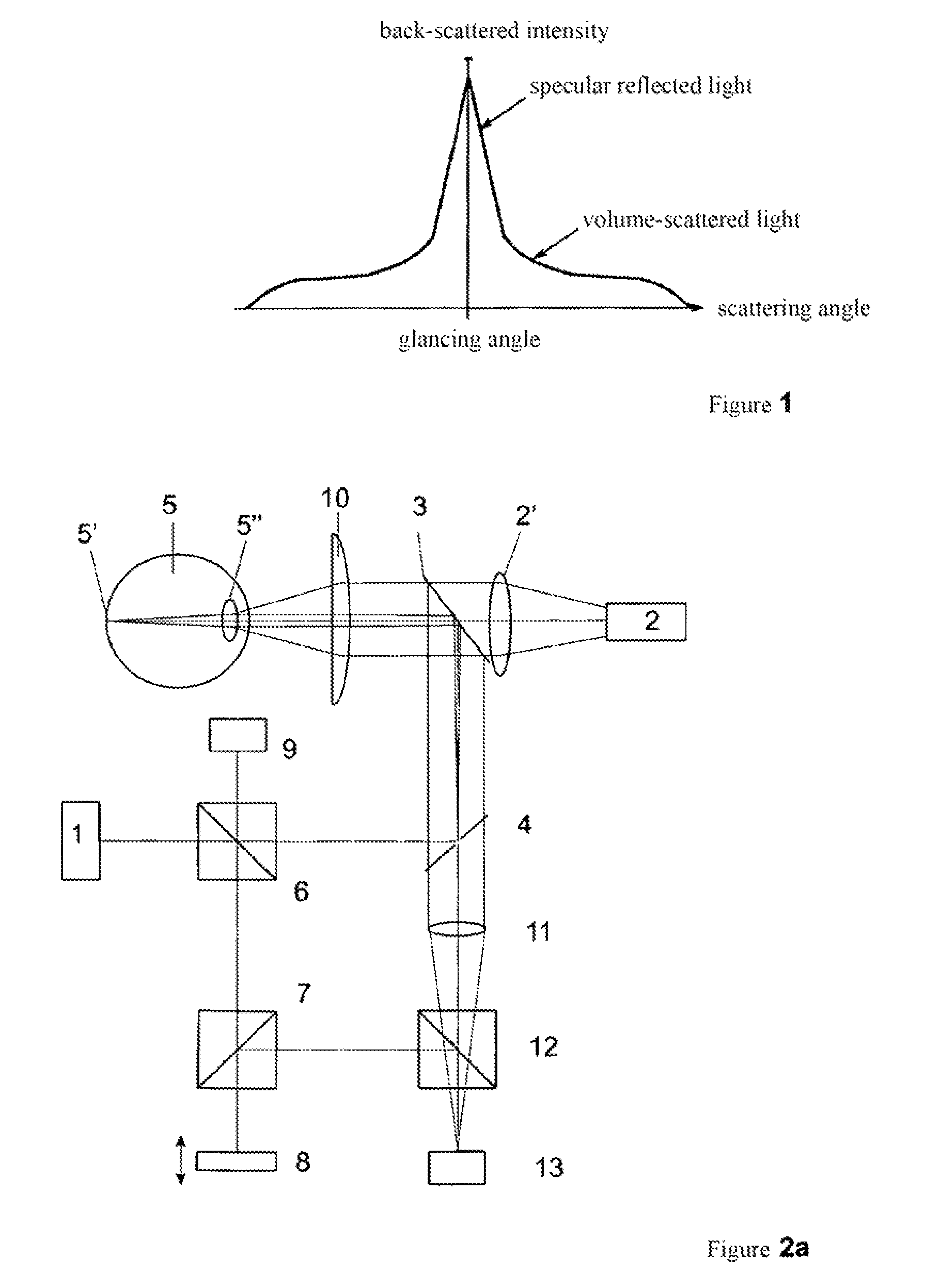 Device for interferometrically measuring the eye length and the anterior eye segment