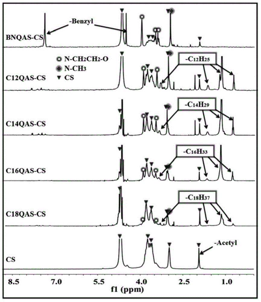 Chitosan quaternary ammonium salt derivatives with good water solubility and antibacterial activity and preparation method of chitosan quaternary ammonium salt derivatives