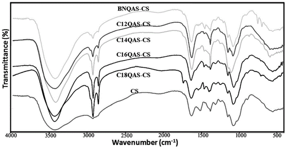 Chitosan quaternary ammonium salt derivatives with good water solubility and antibacterial activity and preparation method of chitosan quaternary ammonium salt derivatives