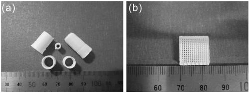 Biological ceramic and preparation method and application thereof