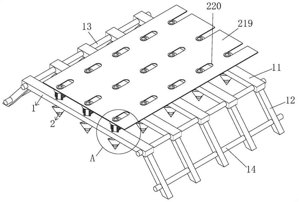 Black peanut planting device