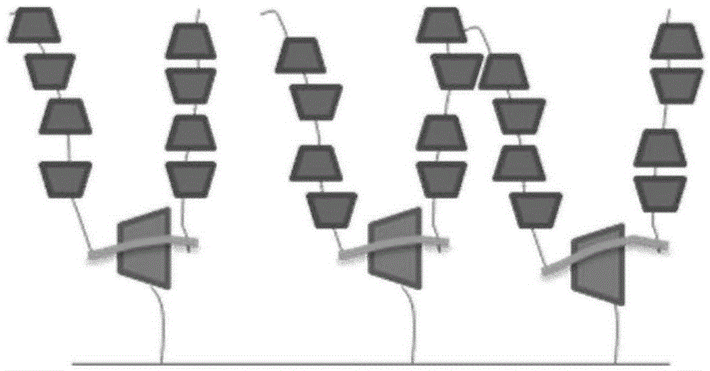 Preparation method of composite cyclodextrin hydrogel