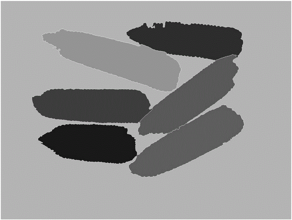 Adhesive corn ear segmentation method and device used in cell corn ear species testing