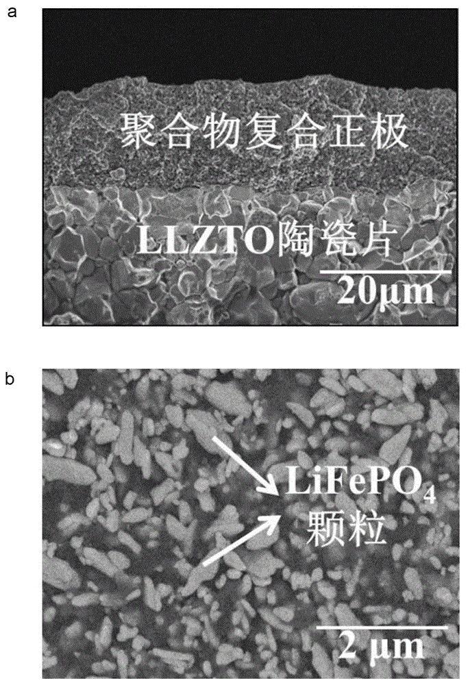 Novel chip type solid secondary lithium battery supported by garnet type solid electrolyte and preparation method thereof