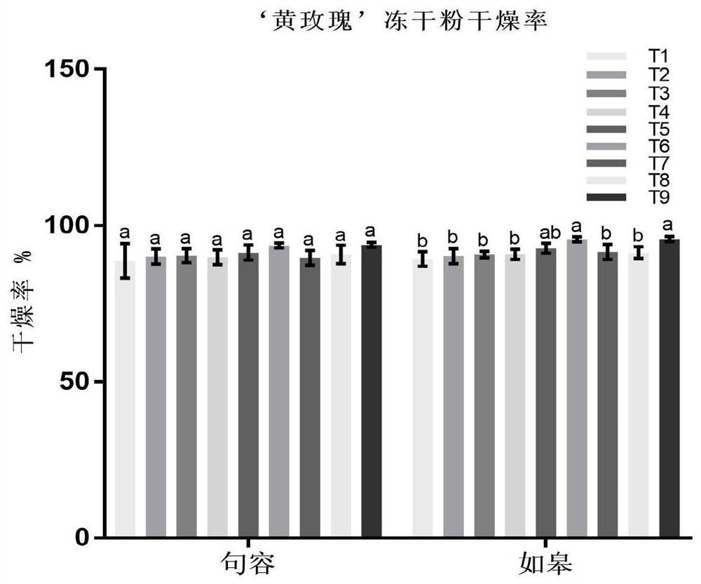 Preparation method of non-heading Chinese cabbage freeze-dried powder