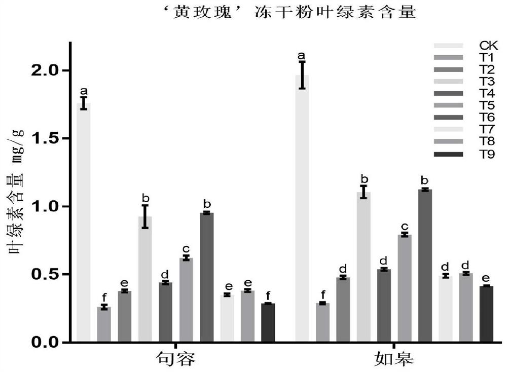 Preparation method of non-heading Chinese cabbage freeze-dried powder