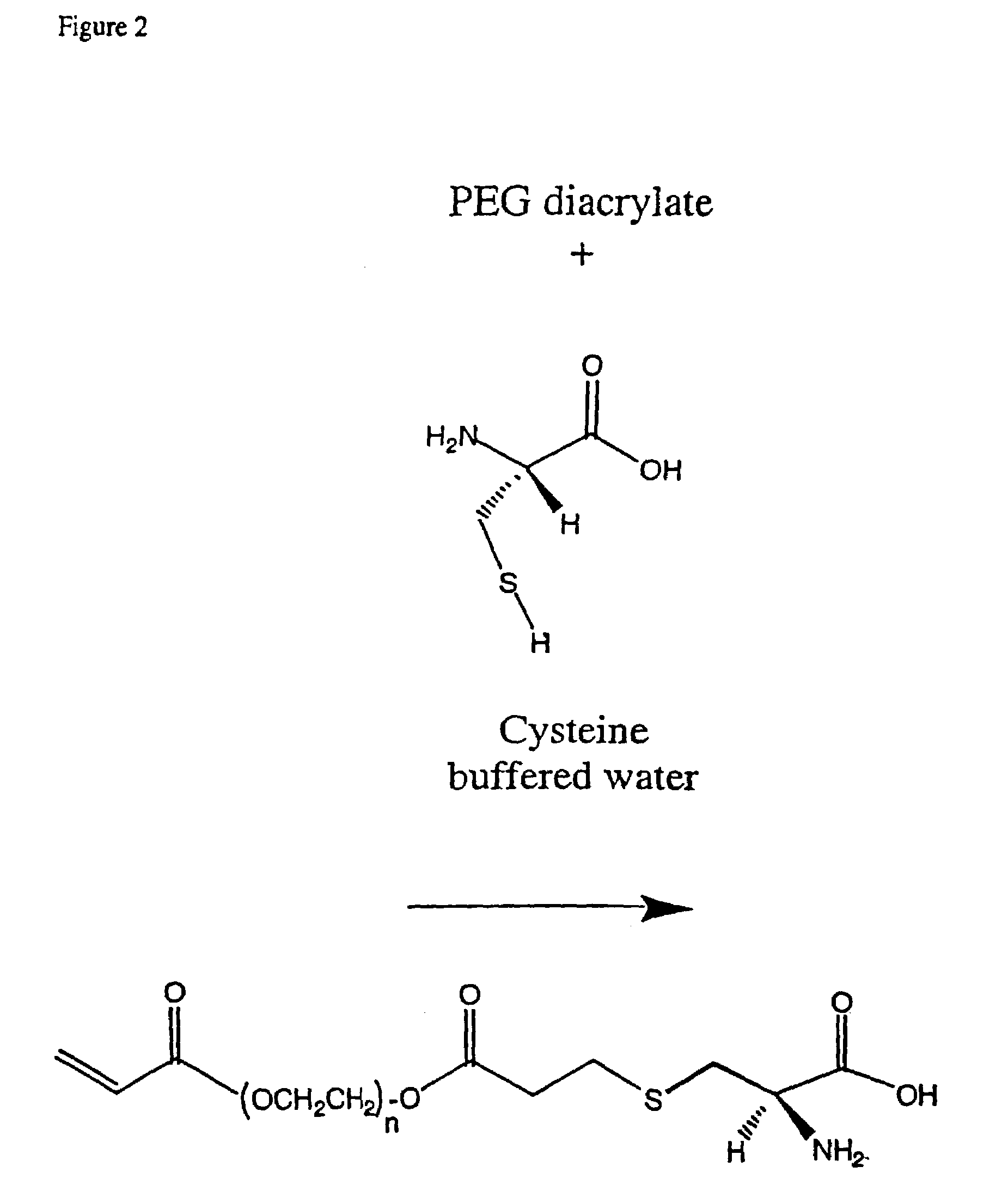 Conjugate addition reactions for the controlled delivery of pharmaceutically active compounds