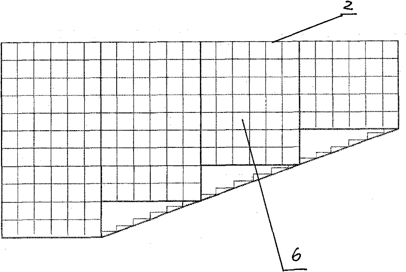 Method for observing root growth process of deep rooting plant alhagi sparsifolia