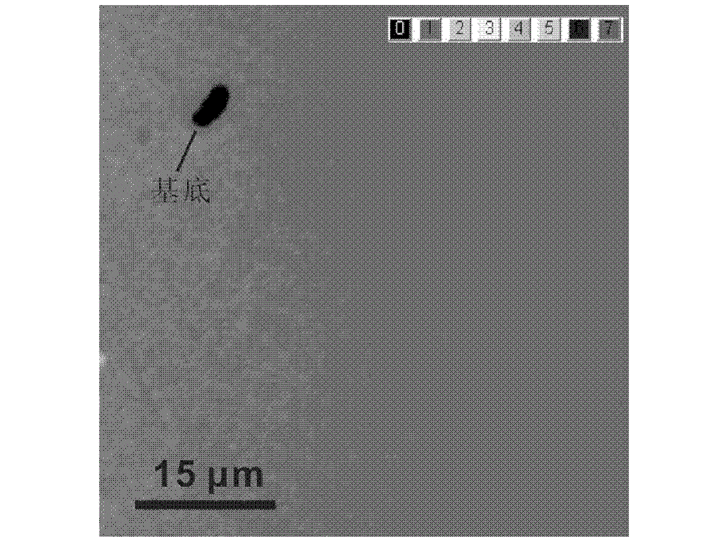 Method for preparing single-layer graphene