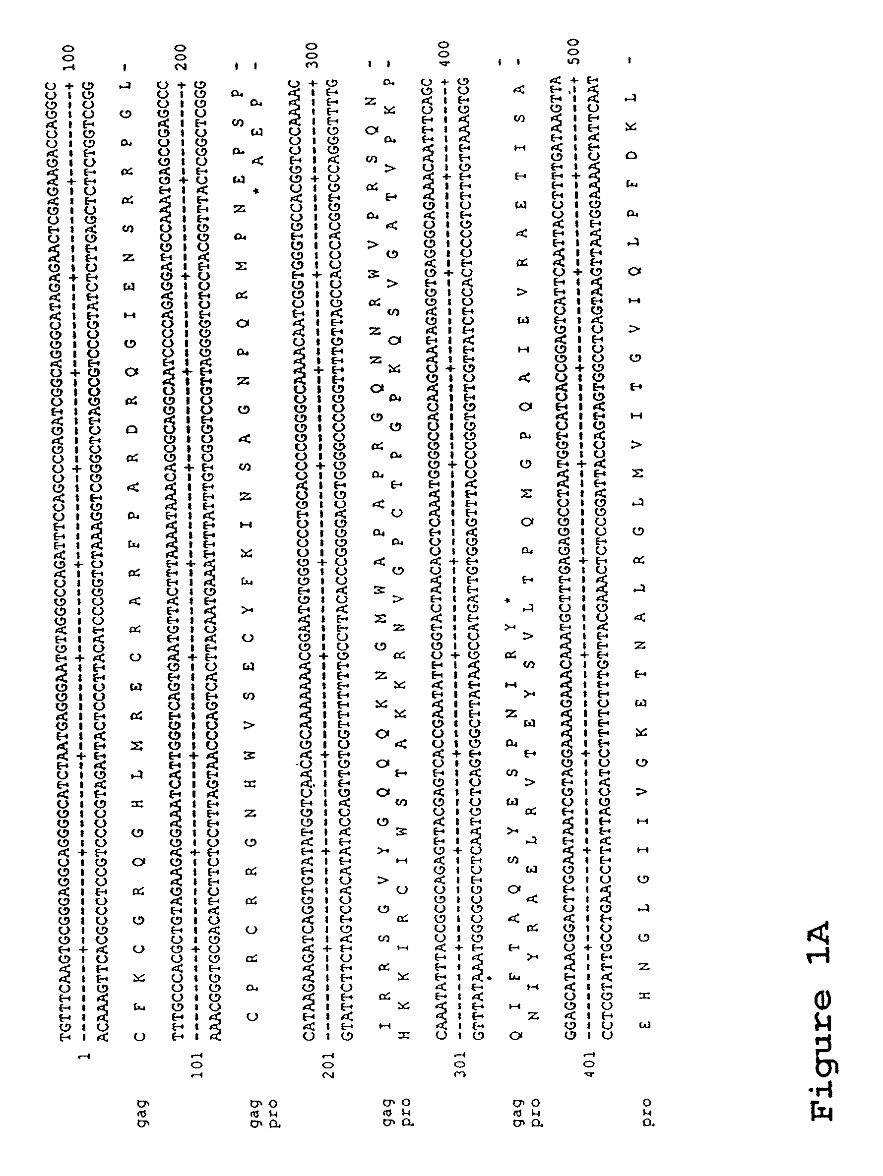 Material and methods relating to a novel retrovirus