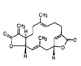 Method for extracting Indian epimeredi herb dilactone from Indian epimeredi herb leaves