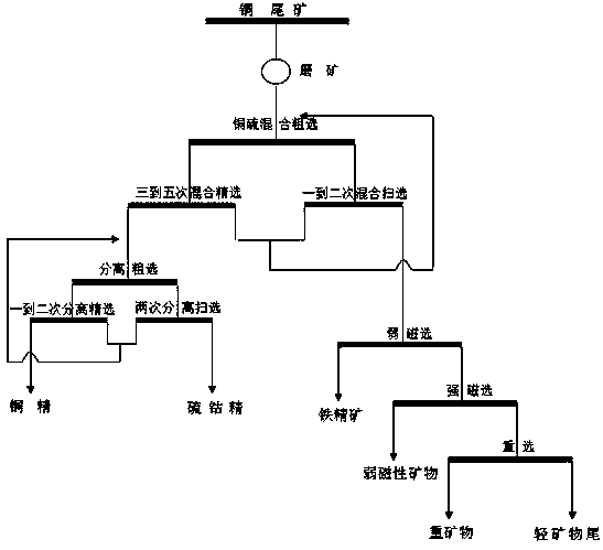 Physical ore dressing removal method for heavy metals in copper tailing