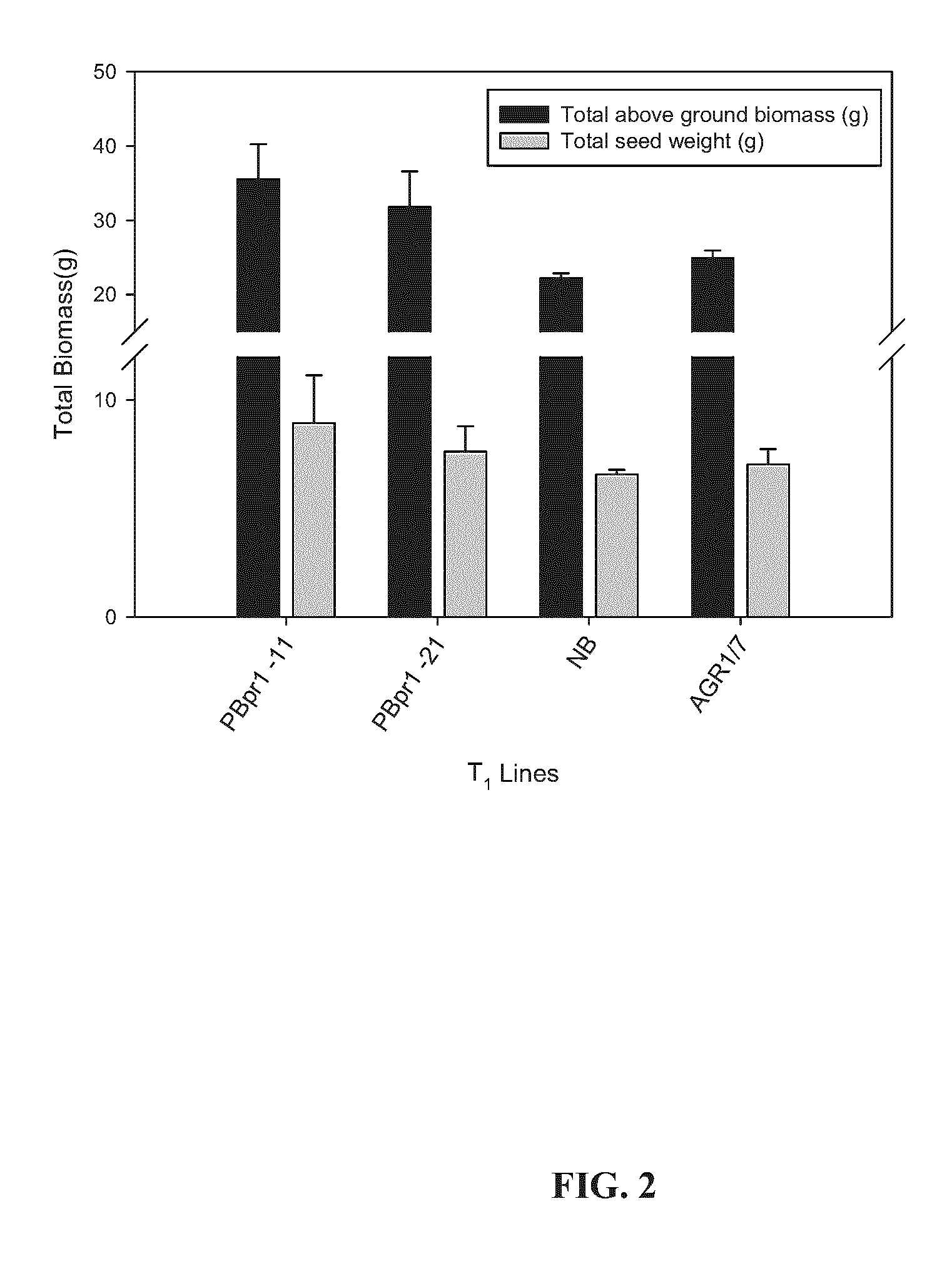 Plants having enhanced nitrogen efficiency