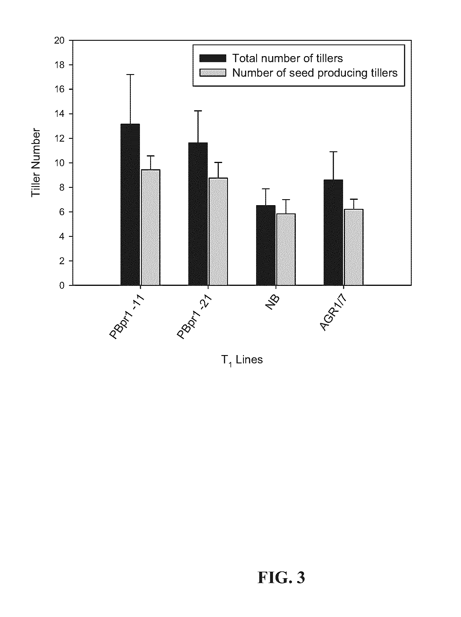 Plants having enhanced nitrogen efficiency