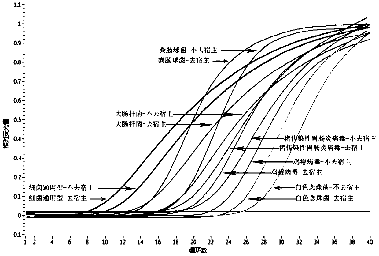 Microbial nucleic acid extraction method with host genome DNA removal function and kit