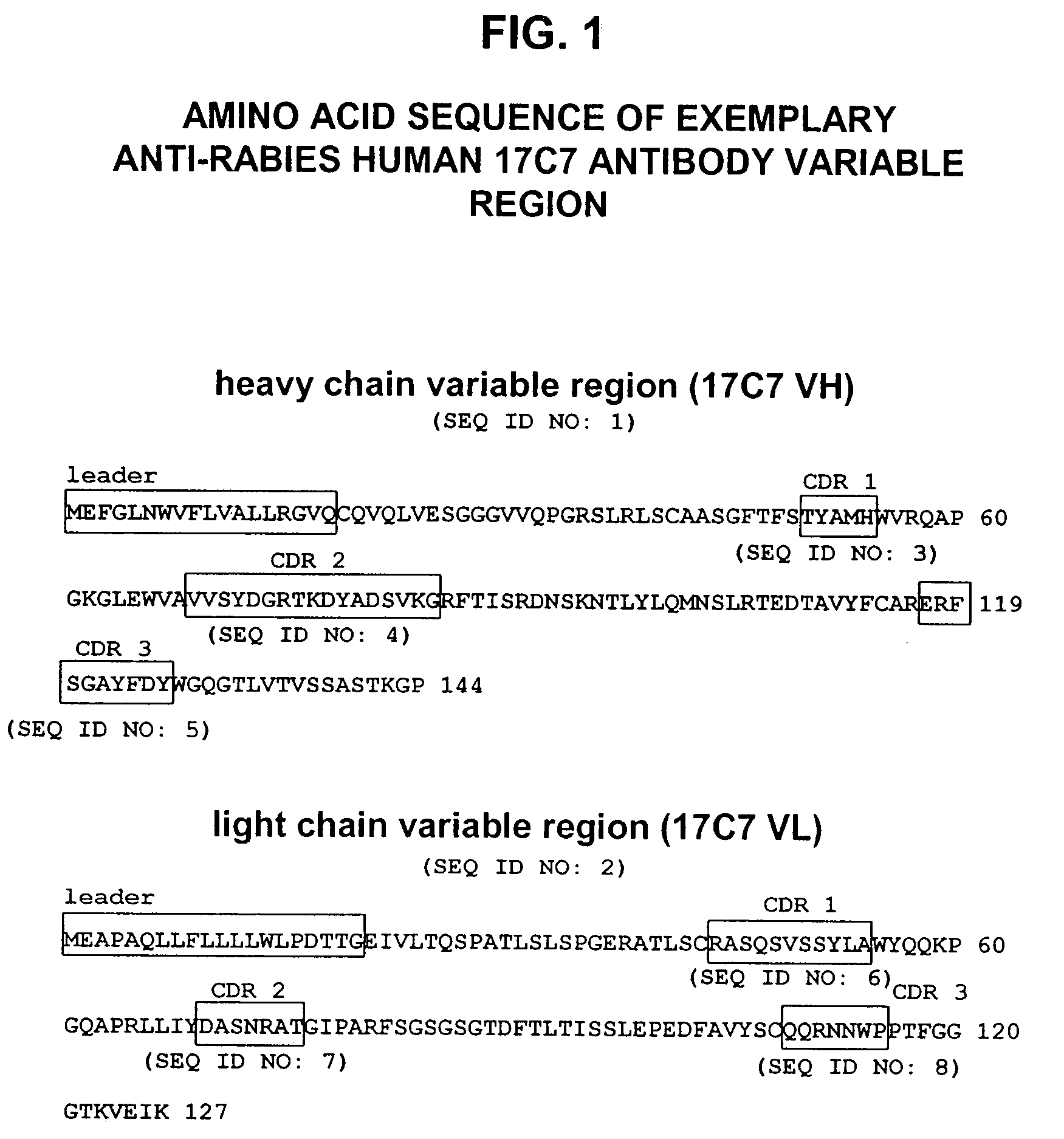 Human antibodies against rabies and uses thereof