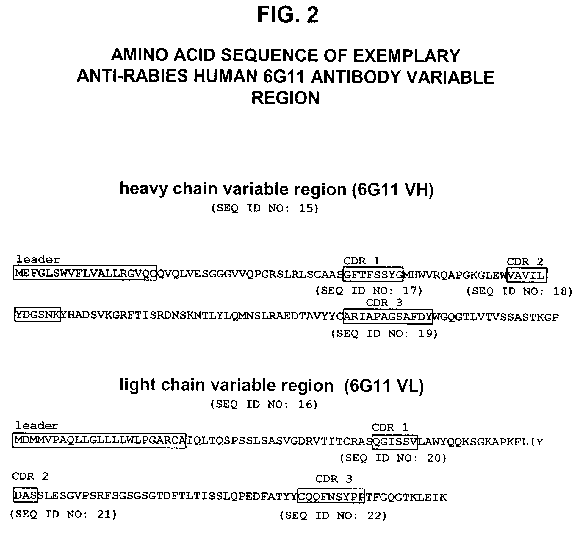 Human antibodies against rabies and uses thereof