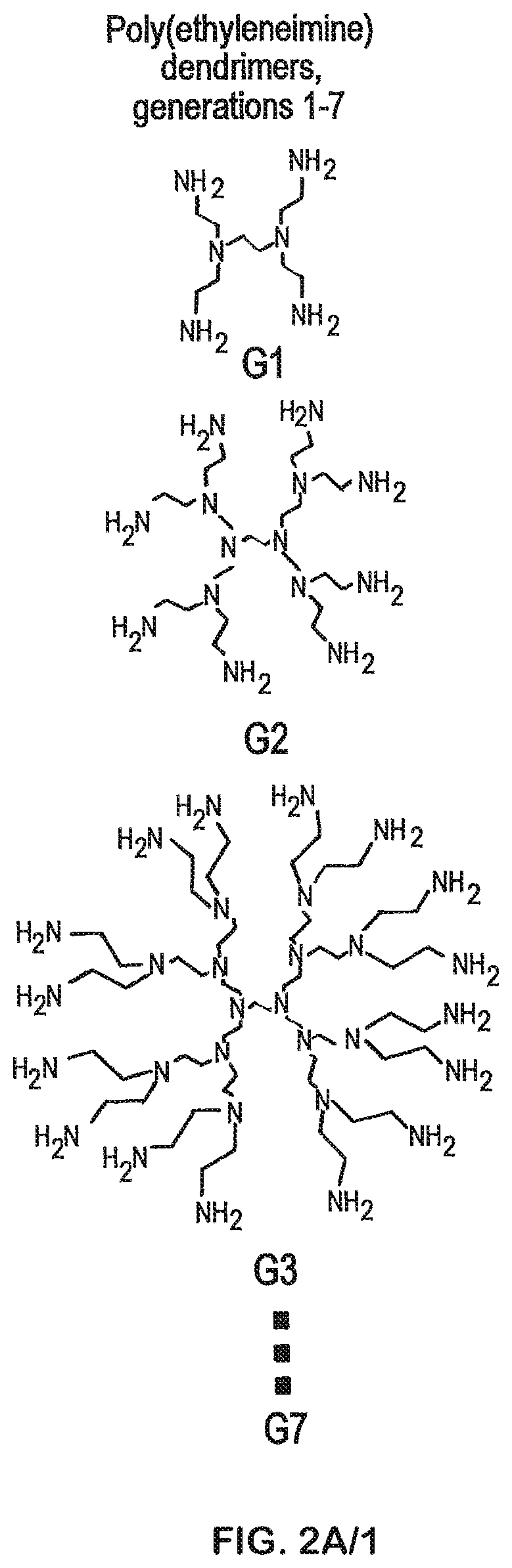 Compositions and methods for modified dendrimer nanoparticle delivery