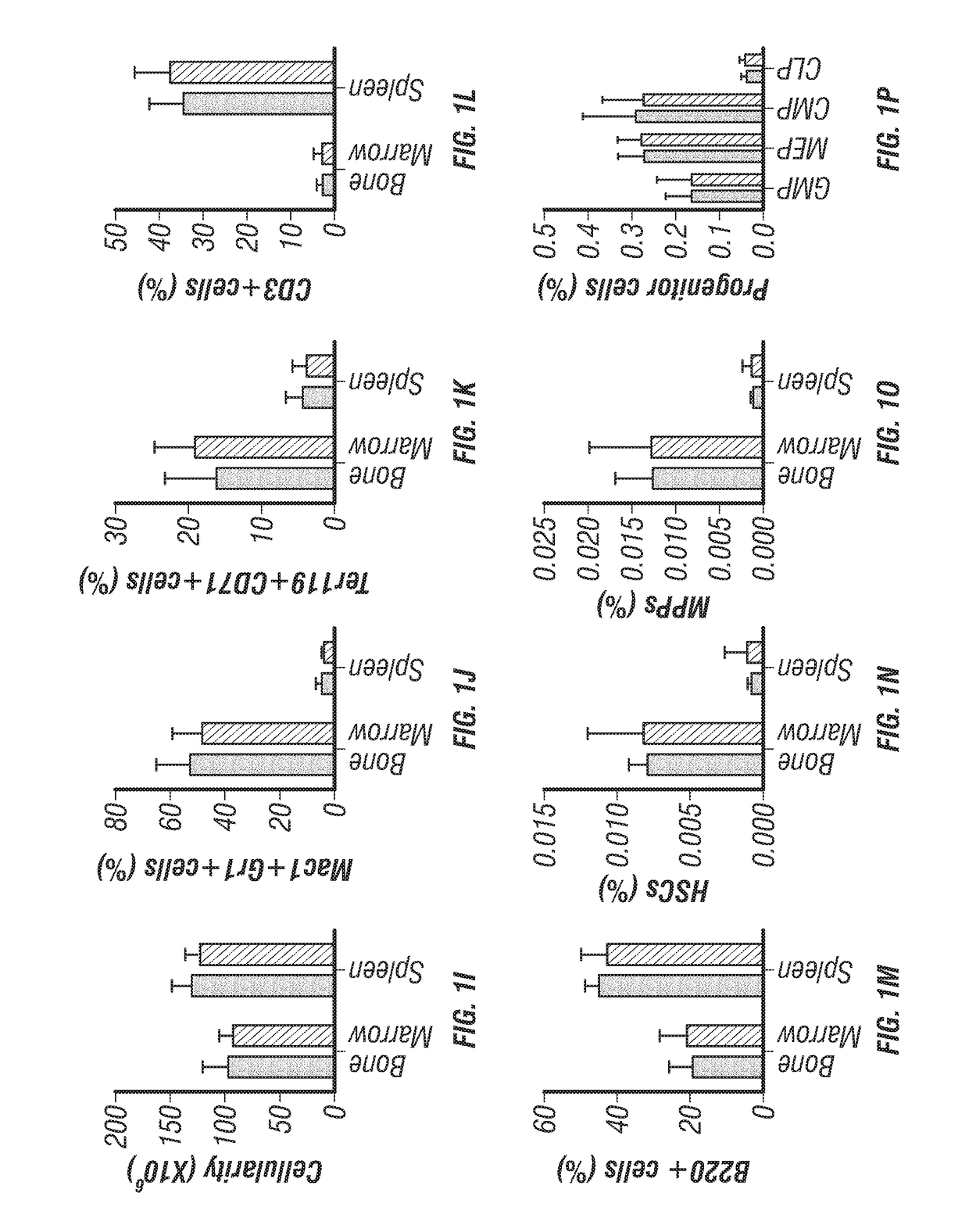 Clec11a is a bone growth agent