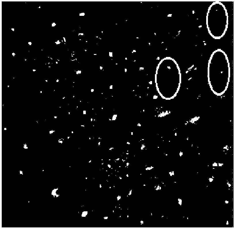 MPCA (Multiway Principal Component Analysis)-based measurement method for area of local region of copper flotation froth image