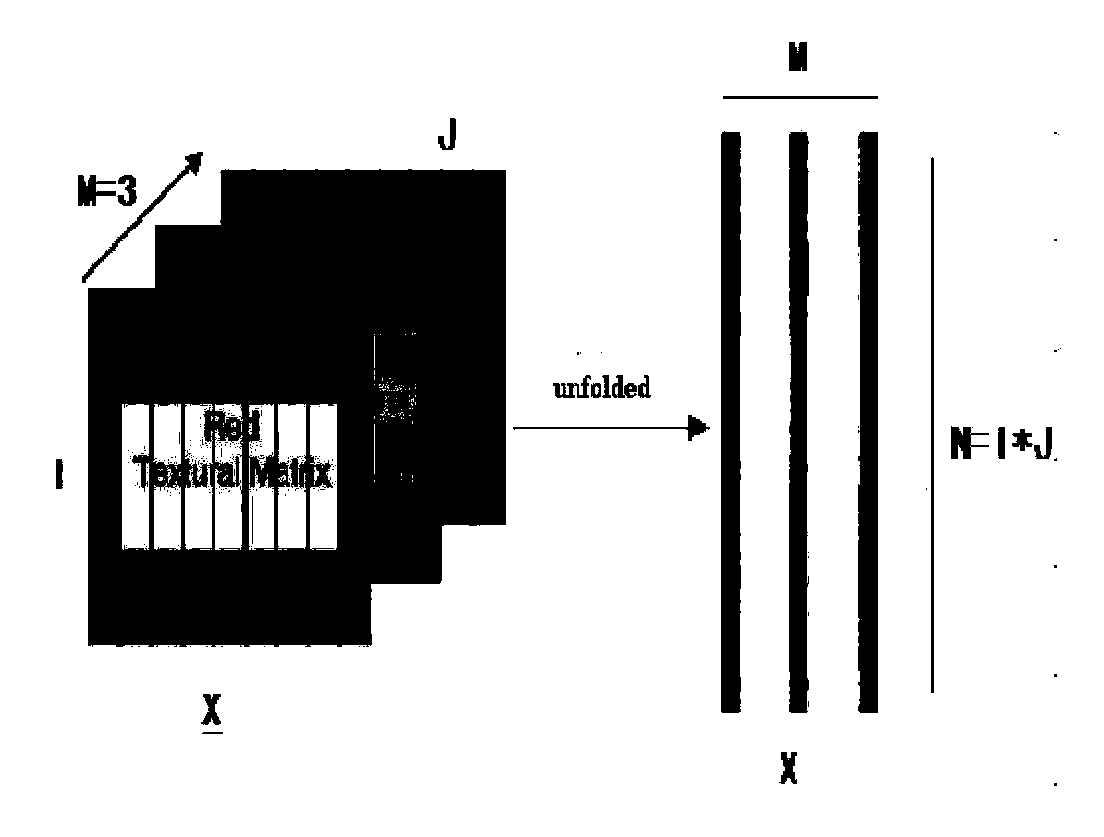 MPCA (Multiway Principal Component Analysis)-based measurement method for area of local region of copper flotation froth image