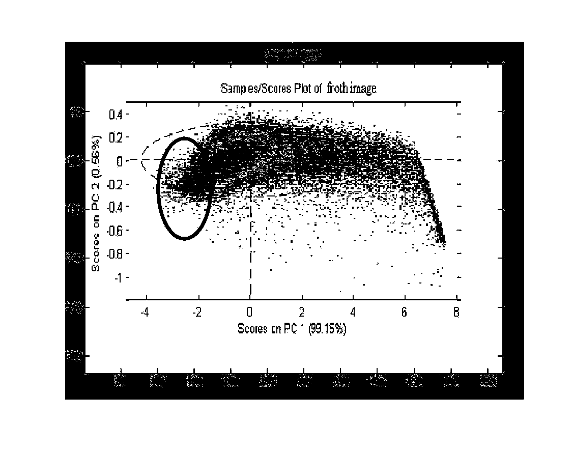 MPCA (Multiway Principal Component Analysis)-based measurement method for area of local region of copper flotation froth image