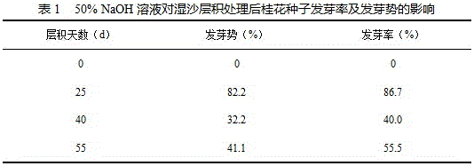 A kind of method that promotes the germination of sweet-scented osmanthus seeds