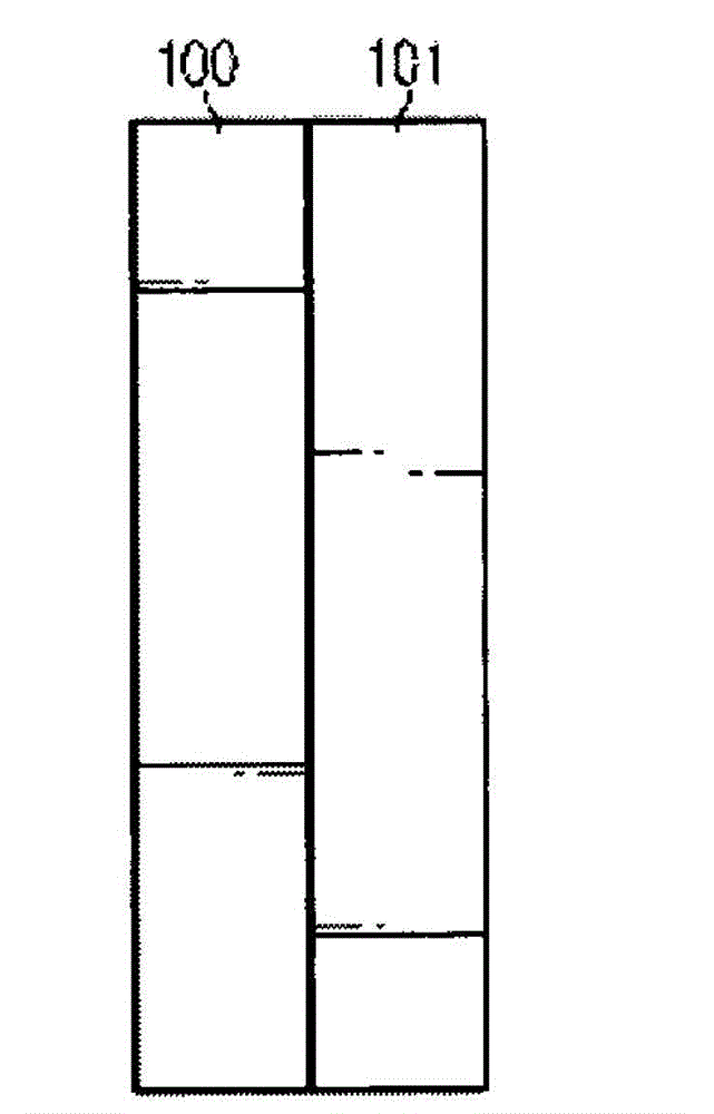 Rollable flexible display device