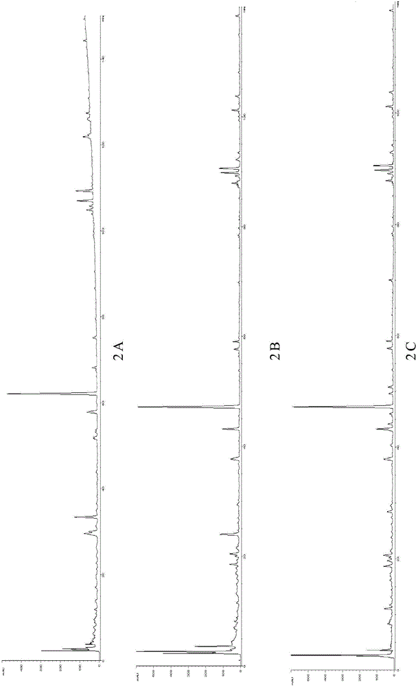 Establishment method of fingerprint spectrum of traditional Chinese medicine composition