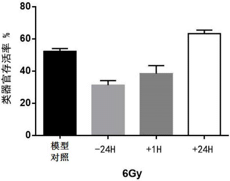 Application of SIRT1 inhibitor in prevention and treatment of radiation-induced intestinal diseases