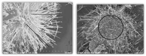 Thermal insulation material composite additive and application thereof