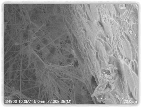 Thermal insulation material composite additive and application thereof