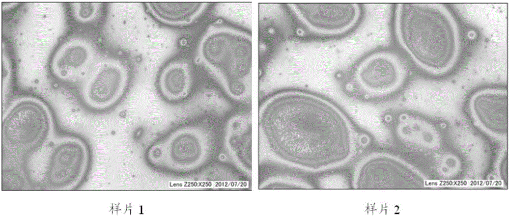 Glass with antibacterial, anti-fingerprint and transmission increasing triple efficacy and preparation method thereof