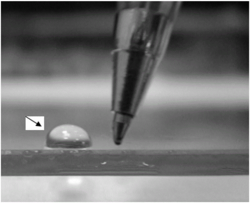 Glass with antibacterial, anti-fingerprint and transmission increasing triple efficacy and preparation method thereof