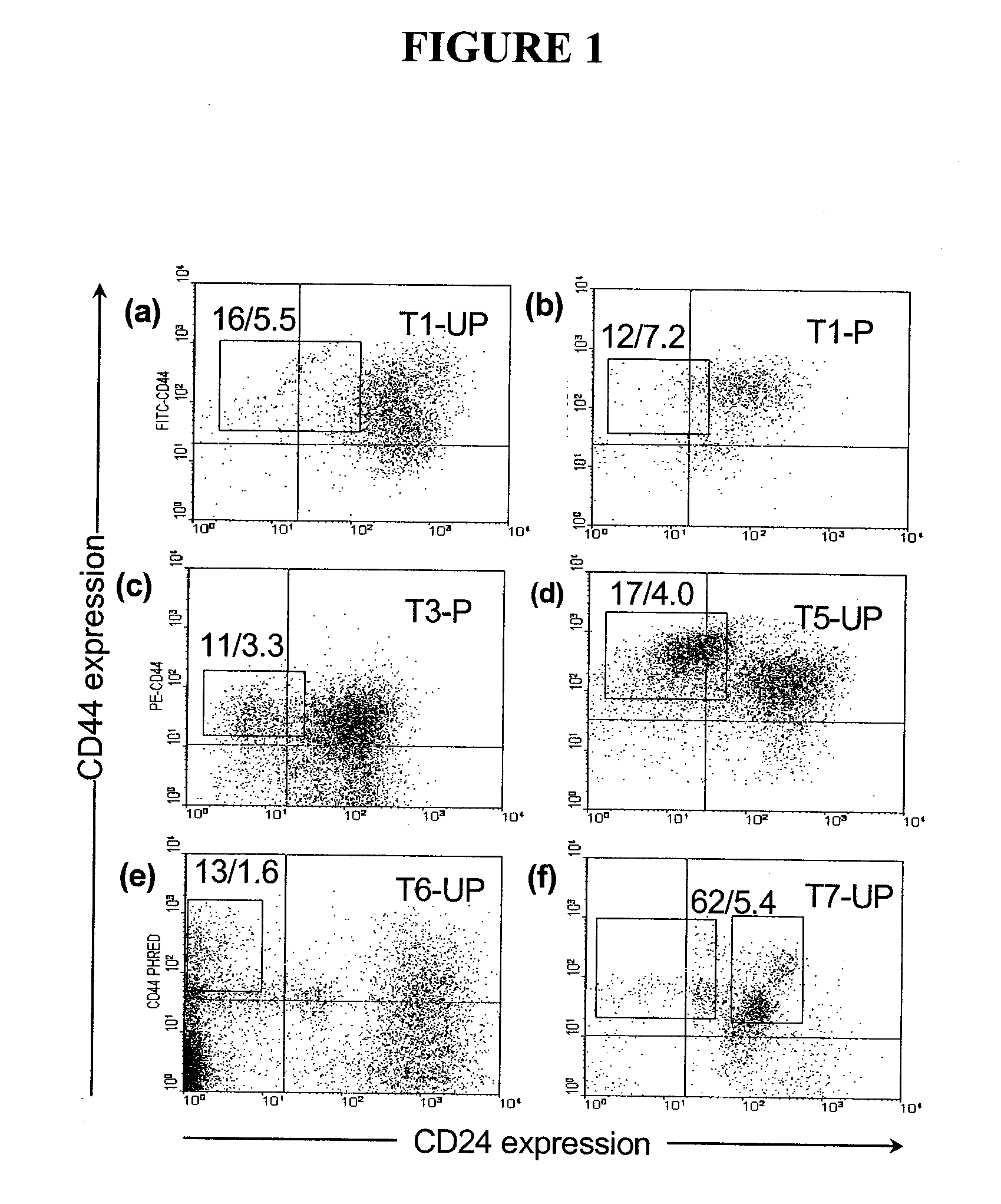 Compositions and methods for treating and diagnosing cancer