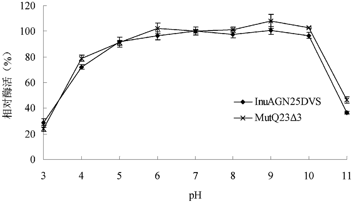 Heat-resistant low temperature exo-inulinase mutant MutQ23 delta 3