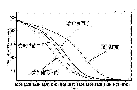 Method for quickly identifying bloodstream infection pathogenic bacteria